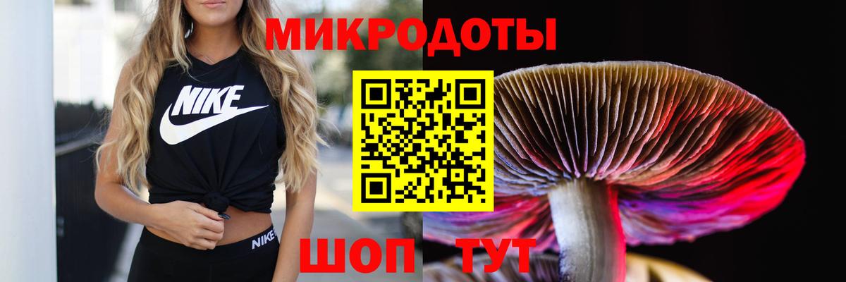 Выкса  Псилоцибиновые грибы MAGIC MUSHROOMS  Вход с VPN  Псилоцибиновые грибы мицелий 